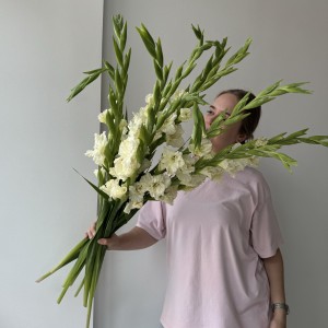                                                                             Букет гладиолусов