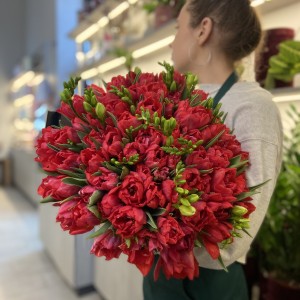                                                                                 Букет Тюльпаны и Фрезия