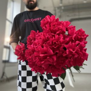   Роза Готча 70 см.