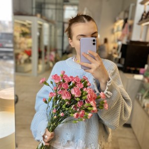 Гвоздика Шабо Розовая 