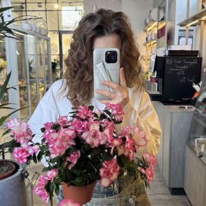  Азалия цветущая 