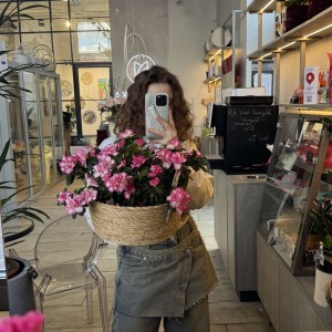  Азалия (2шт) в плетеном кашпо (не пересажены)