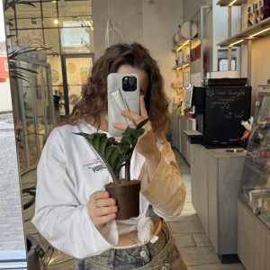 Замиокулькас Зензи Мини