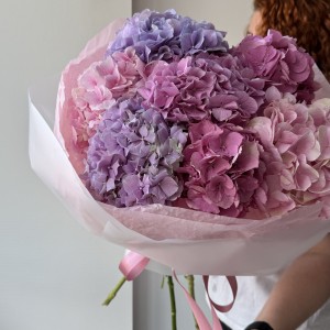                                                                                                  Букет из фиолетовых и розовых гортензий 