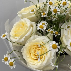                                               Букет с пионовидной розой и ромашками 