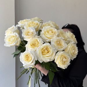          Роза сливочная Кендлайт