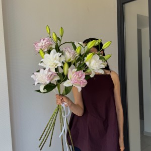     Лилия махровая розовая