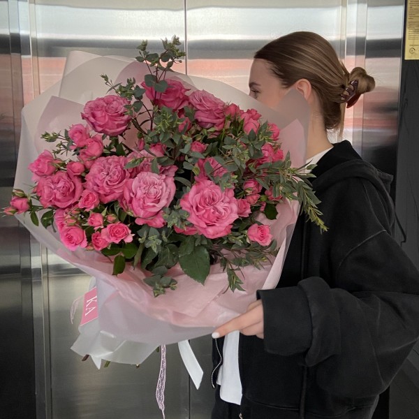 Верба (Саликс)