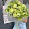                                                                  Букет «Зеленый»