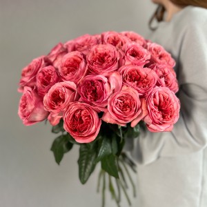                                           Букет из 25 пионовидных роз  «Пинк Экспрешн»