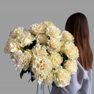 Роза белая 70 см.