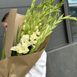                          Гладиолусы Моно