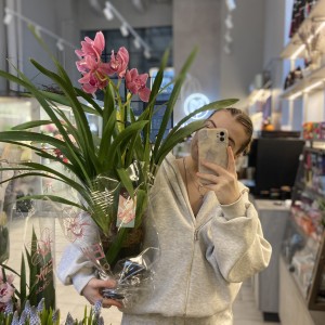 Цимбидиум 60см